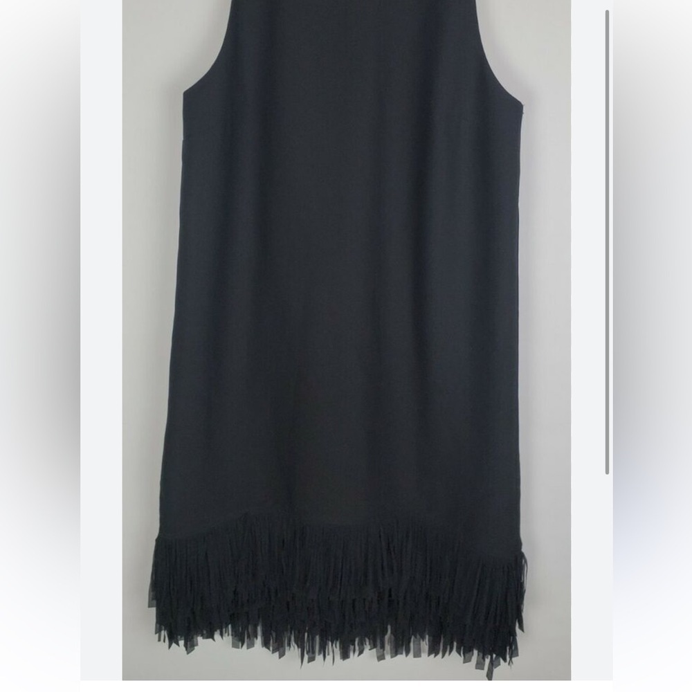 Banana Republic Sleeveless Pleated Back Black Dress Fringe Hemline / 8 - Picture 2 of 12
